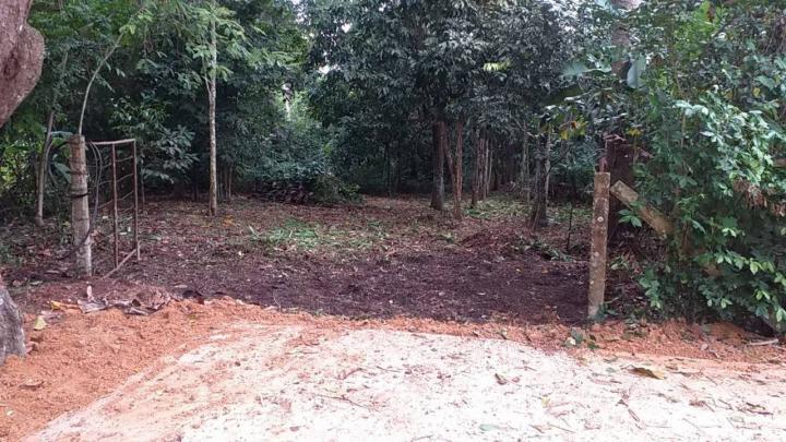 ขาย/ให้เช่า/หรือแลกเปลี่ยน ที่ดินสวนผลไม้ 1 ไร่ 2 งาน 3.8 ตร.ว. ติดคลองนุ้ย ต.ตำนาน อ.เมืองพัทลุง 1