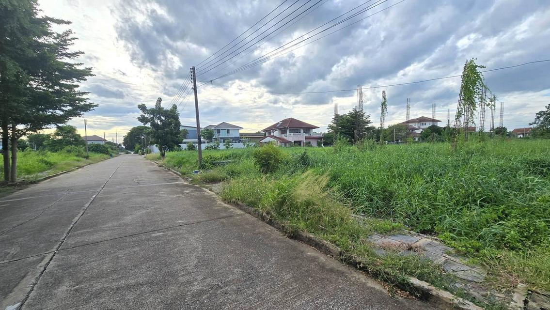 ขายด่วนที่ดินใกล้ฟิวเจอร์พาร์ครังสิต 166 ตรว ติดถนนคอนกรีตสาธารณะ ม.กฤษดานคร 19 ซอย ทิชาชล 4/2 คลองหลวง ปทุมธานี 4