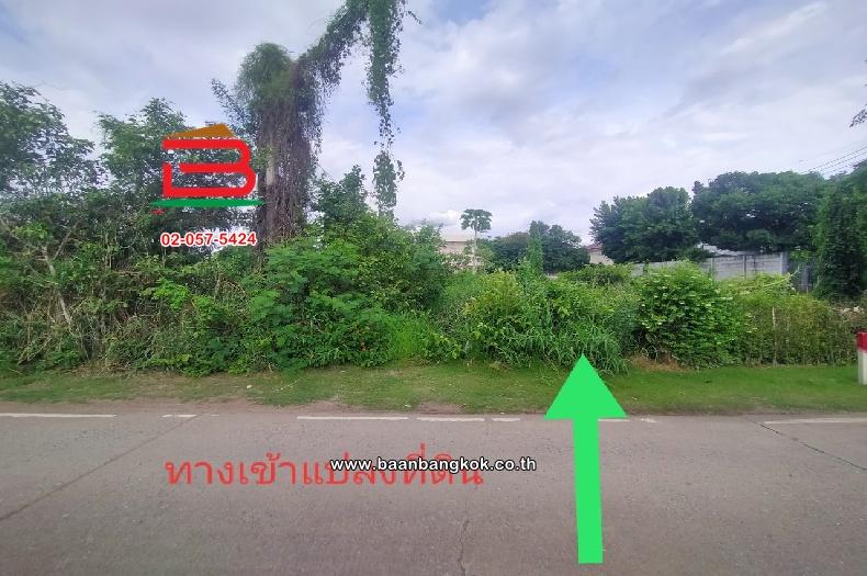 ที่ดินเปล่า ซอยสองพี่น้องคลองถนน เนื้อที่ 45 ตารางวา ใกล้รถไฟฟ้าสถานีคลองบางไผ่ ตำบลเสาธงหิน อำเภอบางใหญ่ จังหวัดนนทบุรี