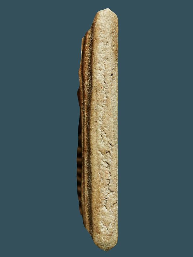 พระสมเด็จวัดเกศไชโย พิมพ์ ๗ ชั้น....เก่าๆ รูปย่อยที่ 4