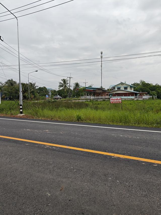 ขายที่ดิน2ไร่ ติดถนน นครนายก 1