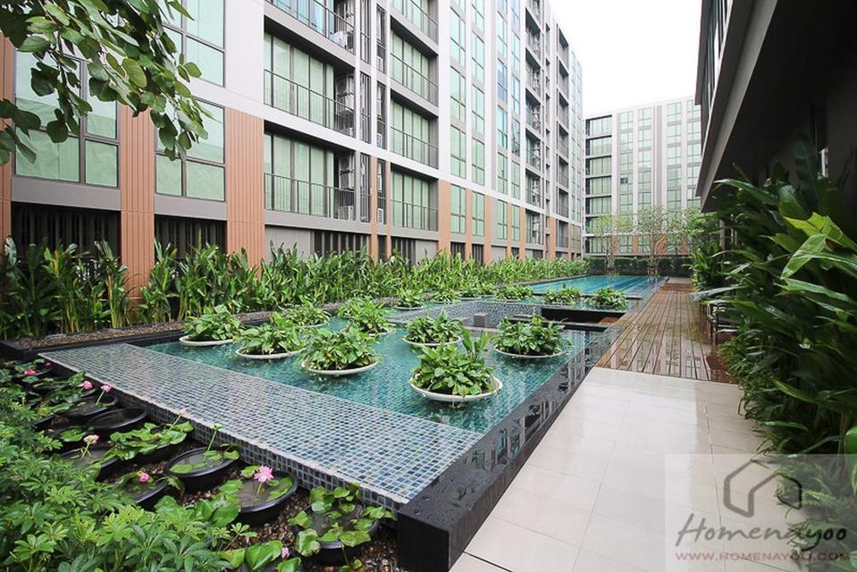 Condo Chambers Cher รัชดา-รามอินทรา ห้องใหม่ 58.34 ตารางเมตร 2 นอน 2 น้ำ ชั้น5 ทิศเหนือ ตกแต่งครบ 6