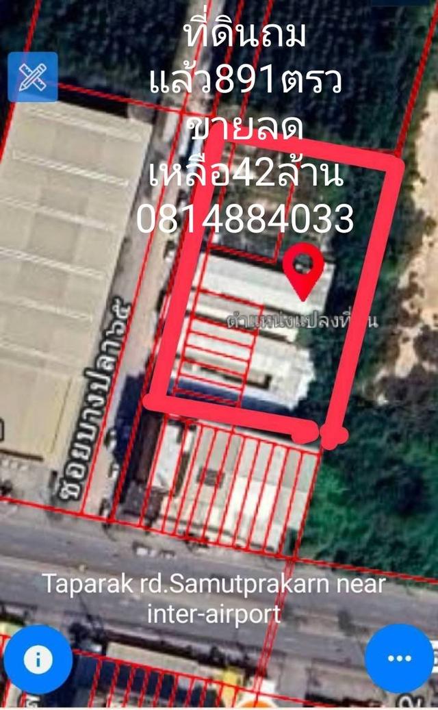 ขายและให้เฃ่าที่ดินถมแล้วติดถนนคอนกรีตกว้าง20เมตรทำได้ทุกธุรกิจหรืออาศัย 3