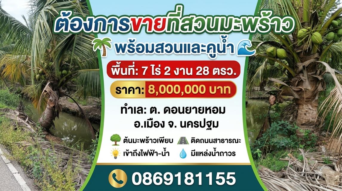 สวนมะพร้าว7ไร่ ต.ดอนยายหอม จ.นครปฐม