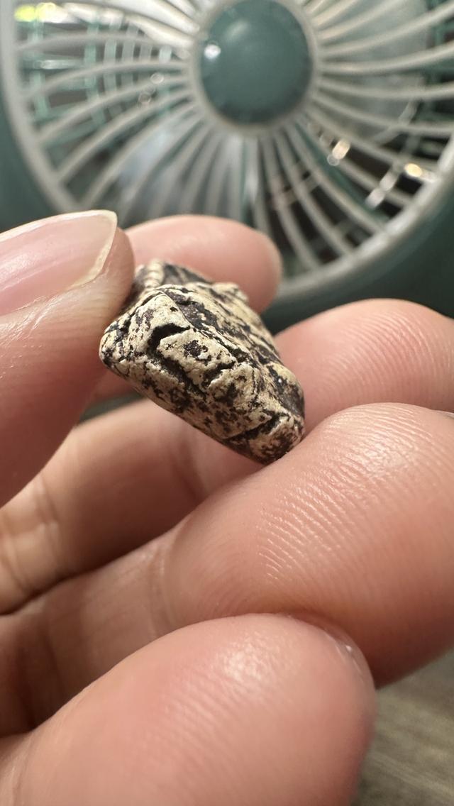 ขุดสระเล็ก วัดกิ่งแก้ว สมุทรปราการ รูปที่ 1