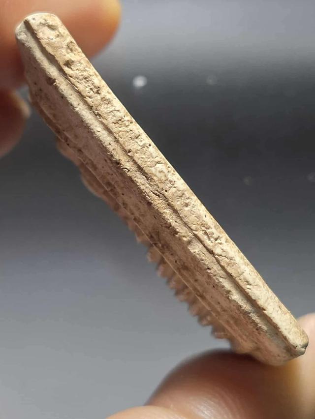 พระมงคล 30/10 4