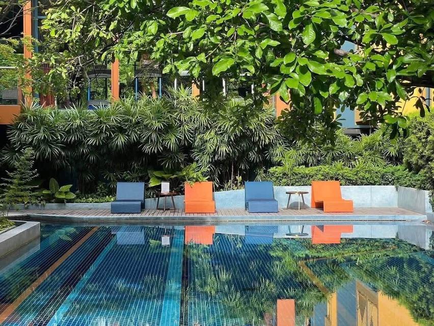 ใช้เช่า The Base Sukhumvit 50 8
