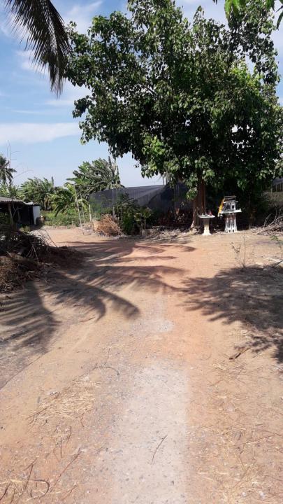 ขายที่ดิน 7 ไร่กว่า ใกล้จุดขึ้นลงมอเตอร์เวย์ M81 สายบางใหญ่-กาญจนบุรี ที่ อ.นครชัยศรี จ.นครปฐม 6