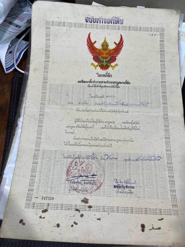 ที่ดินโฉนดครุฑแดงราคาถูกมาก23ไร่เศษ200,000 บาทต่อไร่ต่ำกว่าราคาประเมิน 11