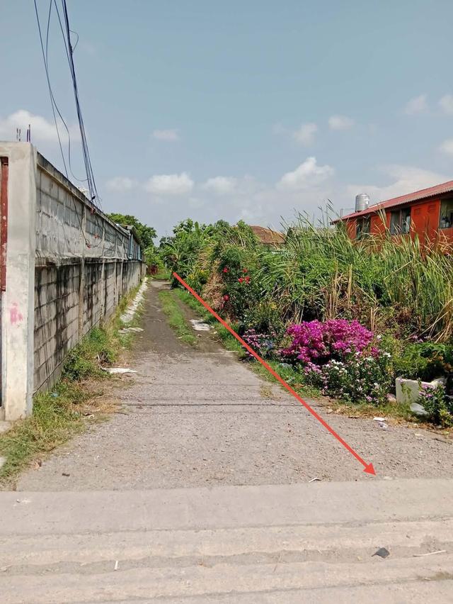 ขายที่ดิน 100 ตรวเศษ 5