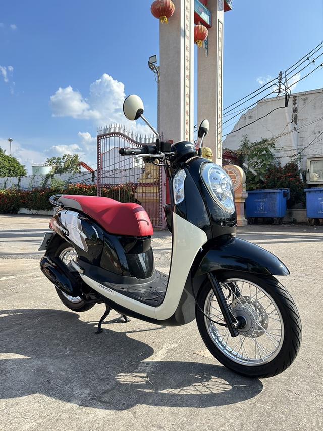 Scoopy I 2015