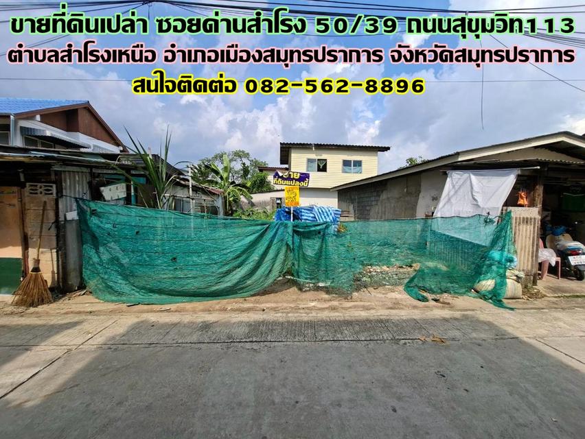 ขายที่ดินเปล่า ซอยด่านสำโรง50/39 ถนนสุขุมวิท113 1