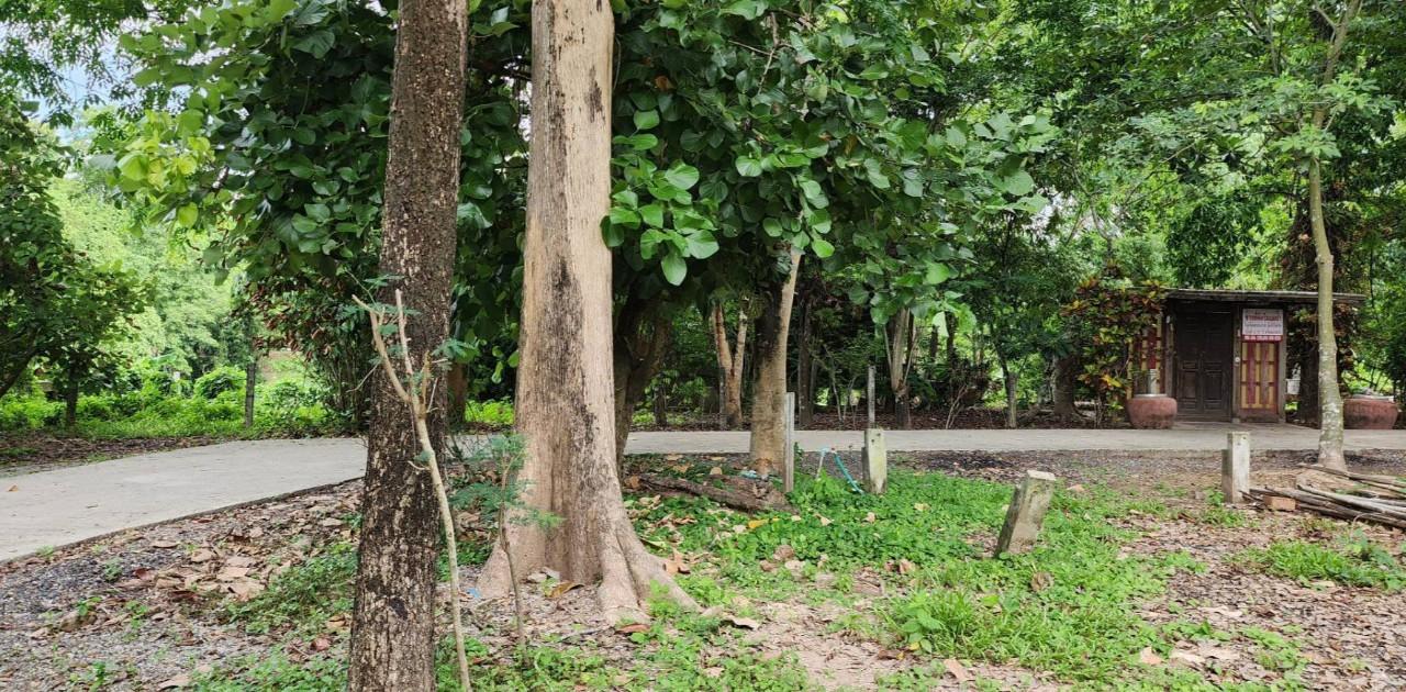 ที่ดินติดแม่น้ำนครนายก 17