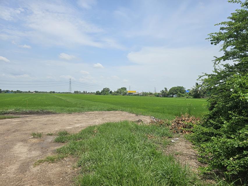 ขายที่ดินจังหวัดนนทบุรี 10