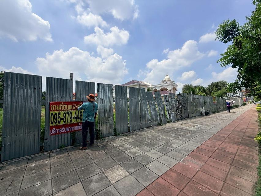 ขายด่วนที่ดิน 704 ตรว ติดถนนพุทธมณฑลสาย 2 ถนนพุทธมณฑลสาย 2 เขตบางแค กทม 1