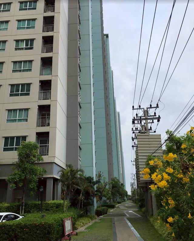 ขายคอนโด ลุมพินี เมกะบางนา ติดต่อ 083-197-1682 6