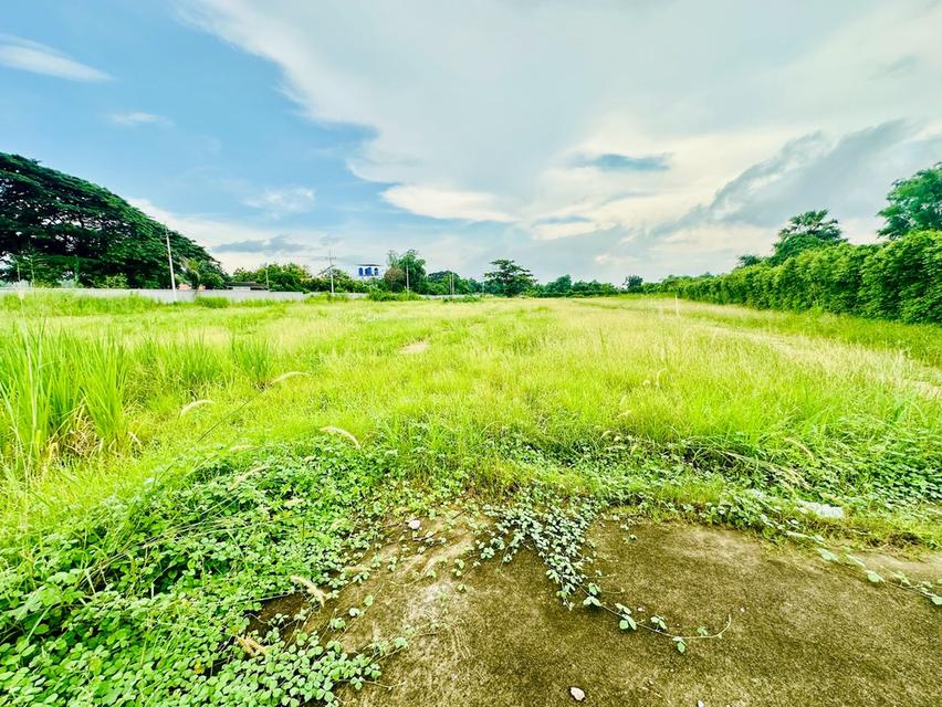 ขายที่ดินชลบุรี เขตพื้นที่ EEC เนื้อที่ 9-1-70 ไร่ ถนนดอนนุ่น ตำบลบึง อำเภอศรีราชา ใกล้นิคมอุตสาหกรรมปิ่นทอง 2 13