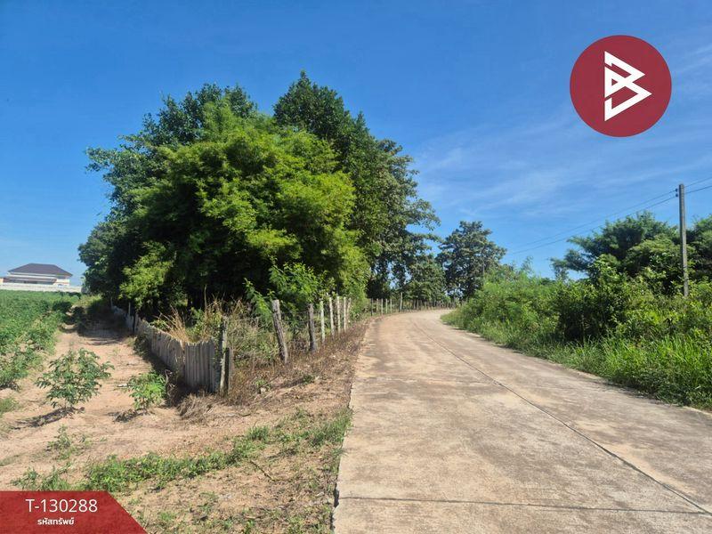 ขายที่ดิน ( แบ่งขาย 2 แปลง ) เนื้อที่ 6 ไร่ 1 งาน 42.5 ตารางวา อำเภอพนัสนิคม จังหวัดชลบุรี 4