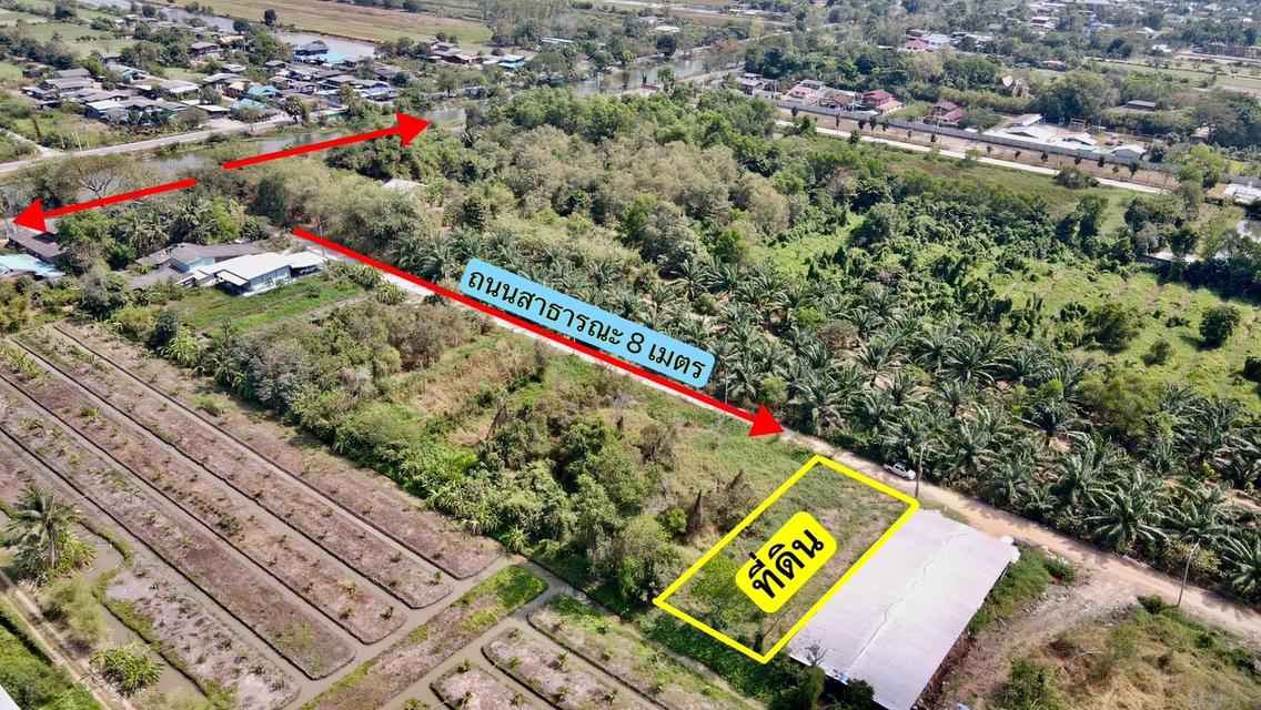ขายที่ดินหนองเสือ 200 ตรว. คลอง12 ถมแล้ว เหมา890,000บาท ใกล้ถนนเส้น3025 - 210 เมตร จ.ปทุมธานี