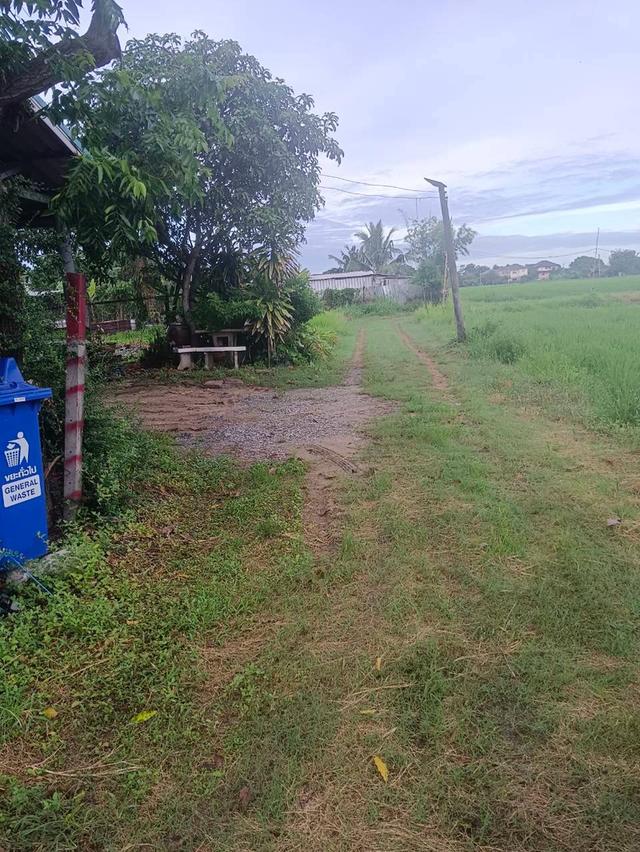 ที่ดินว่างเปล่า เนื้อที่ 136.6 ตรว. แขวงโคกแฝด เขตหนองจอก จังหวัดกรุงเทพ 5