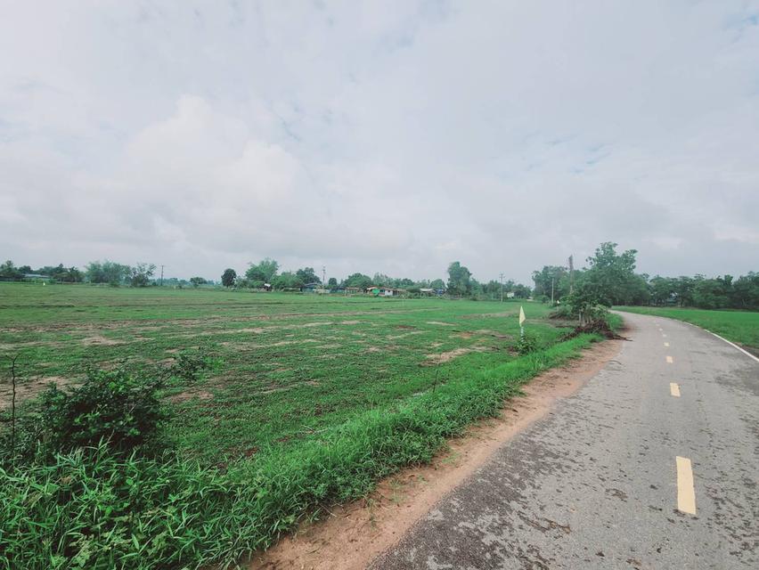 สด-ผ่อน! ติดลาดยาง 1-2-00 ไร่ ยกแปลง 300,000 บาทเท่านั้น! 4