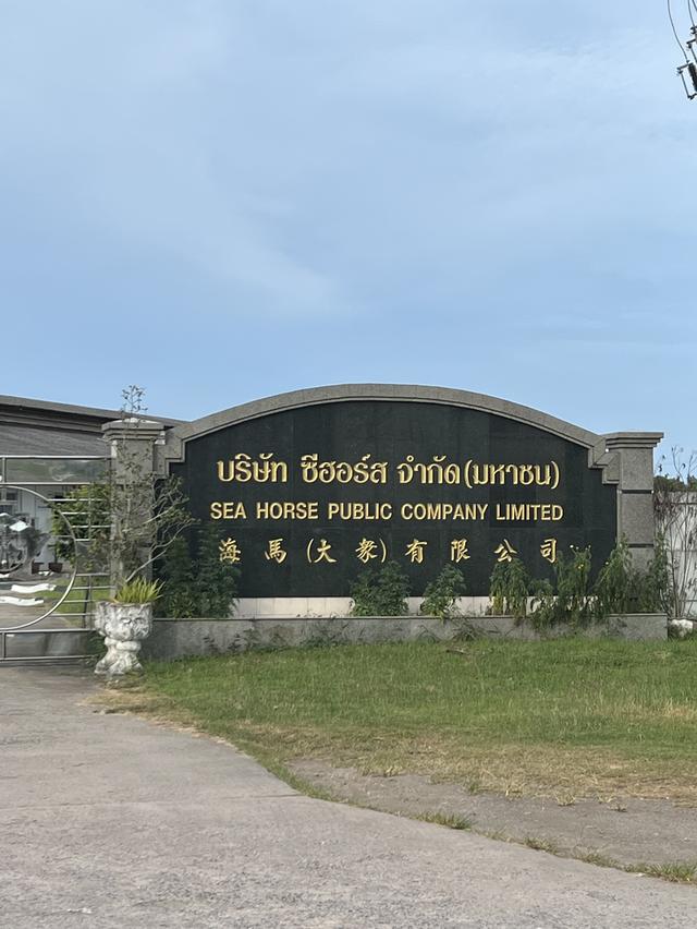 ที่ดิน ที่ดินพร้อมสวนยาง เนื้อที่ 4ไร่ 1งาน 90ตรว. พิกัด 7°03'09.3"N 100°38'59.5"E 6