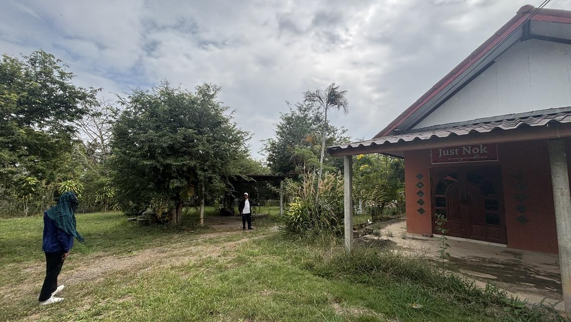 บ้านพร้อมที่ดิน 4 ไร่ 2 งาน 3.2 ล้าน อ.วังน้ำเขียว 5