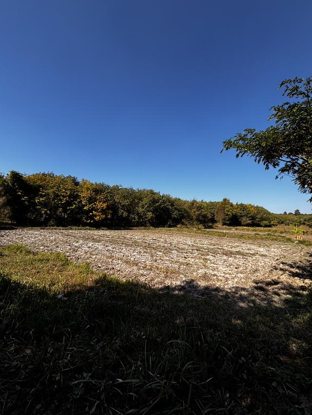 ที่ดินสวนเกษตร โฉนดครุฑแดงขนาด 11 ไร่  2 งาน 56 ตารางวา พร้อมโอน เจ้าของขายเอง 1