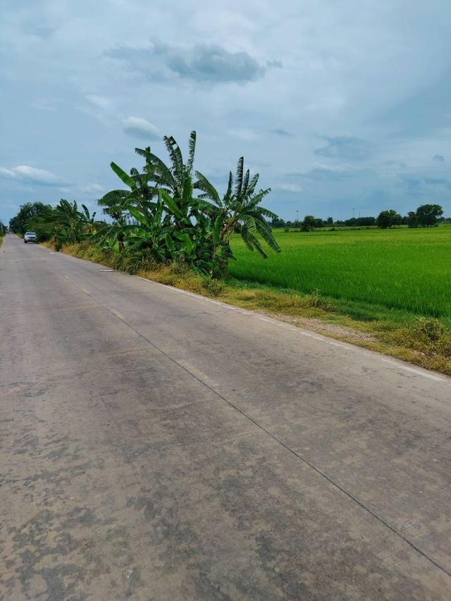 ขายที่ดินเปล่า ทำเลดีติดถนน ตำบลคลองสาม อำเภอคลองหลวง จังหวัดปทุมธานี