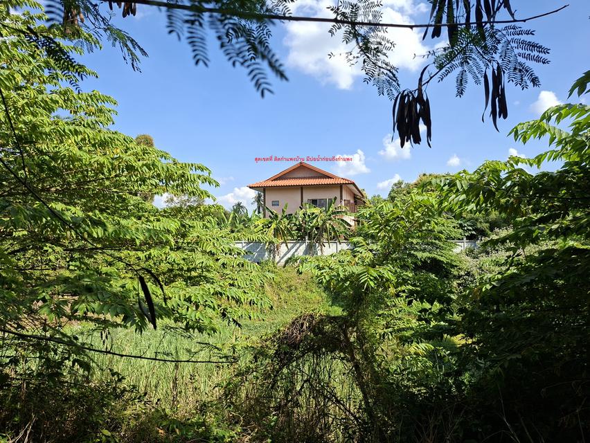 ขายที่ดิน 2 ไร่ 154 ตารางวา 1,000,000 บาท มีห้องพัก 2 ห้อง มีน้ำและไฟฟ้าพร้อมเข้าอยู่ ใกล้วัดสามประชุม อ.โพธิ์ทอง จ.อ่างทอง 4