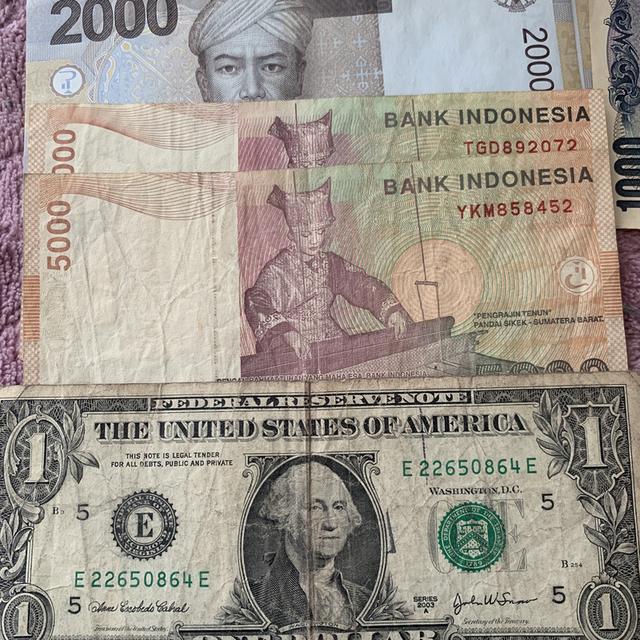 แบงค์ต่างประเทศ ใหม่เก่าสะสม รูปที่ 5