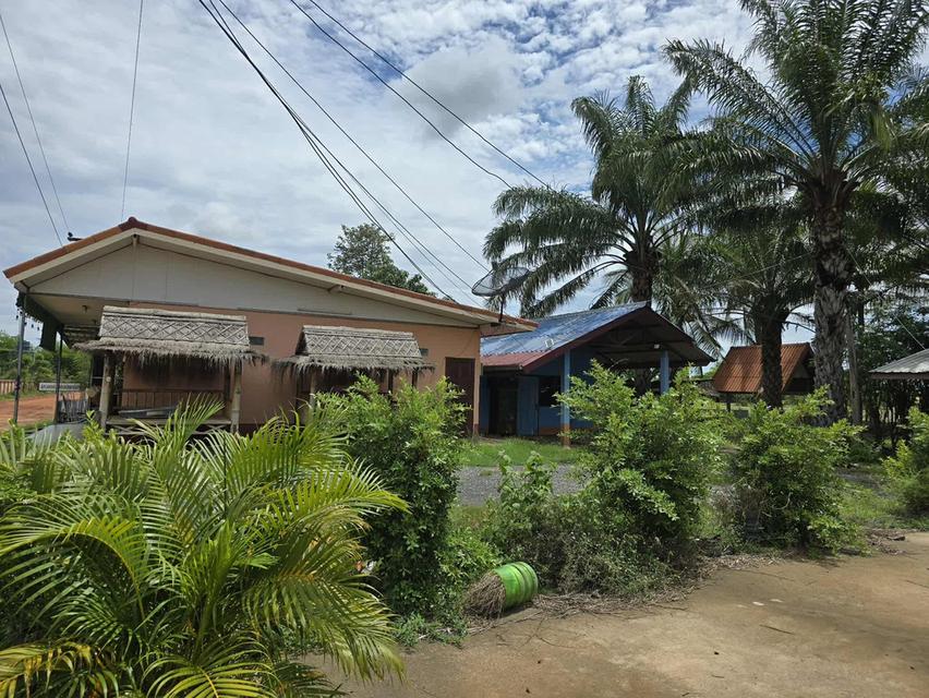 บ้านพร้อมที่ดินขายราคา 3.5 ล้าน 3