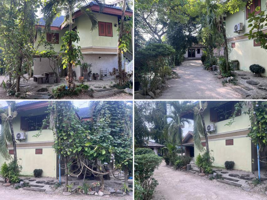 ขายบ้านพร้อมที่ดิน 407 ตารางวา ตำบลลำปางหลวง อำเภอเกาะคา จังหวัดลำปาง 5 นาที ถึงถนนใหญ่พหลโยธิน 2