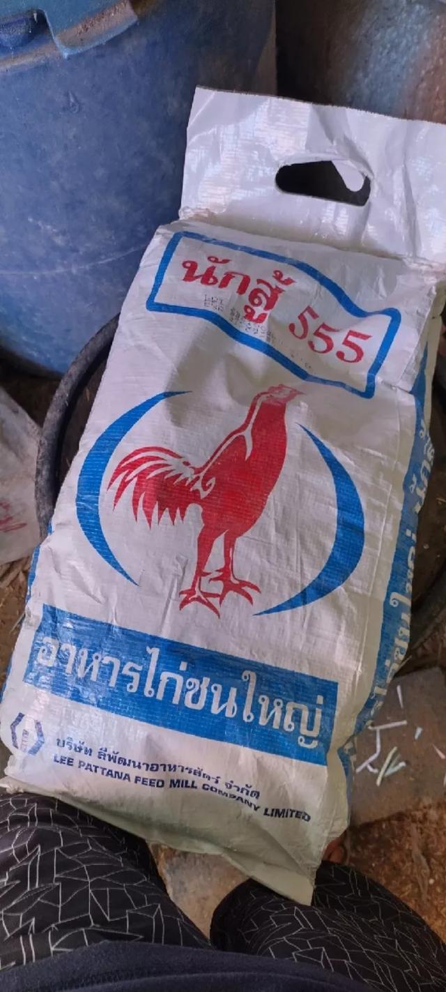 นักสู้ 555 อาหารไก่ชน 1