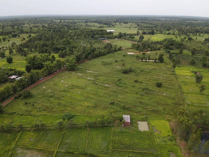 24ไร่ ไร่ละ 80,000-. ไฟฟ้าถึง.น้ำบาดาล ครุฑแดง ทางแดง. ที่สวน สวยมากครับ. อยู่ที่ สุมเส้า อ.เพ็ญ จ. อุดรธานี. โทรศัพท์0960507174 วิทย์ 4