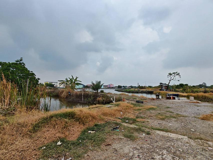 !! ขายที่ดินแปลใหญ่ ใกลล้ถนนบางนา-ตราด เพียง 300 เมตร 3