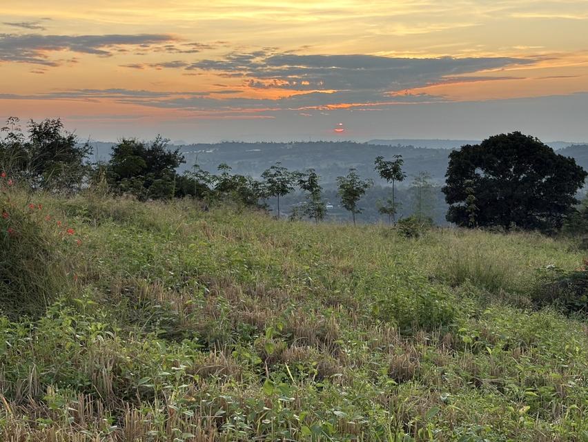 ⛰️ จุดที่สูงที่สุดและสวยที่สุด อ.น้ำหนาว จ.เพชรบูรณ์ 30ไร่ 6 ล้านบาท ห่างจากถนนเส้นหลัก(2216) 🛣️ แค่ 600 เมตร ห่างตัวเมือง1กิโล 4