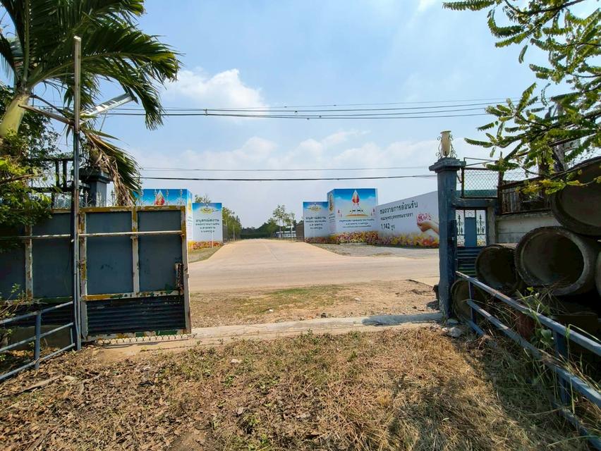 ที่ดินพร้อม โกดัง ขนาด1ไร่ ถนนพุทธมณฑลสาย7 สามพราม นครปฐม 6