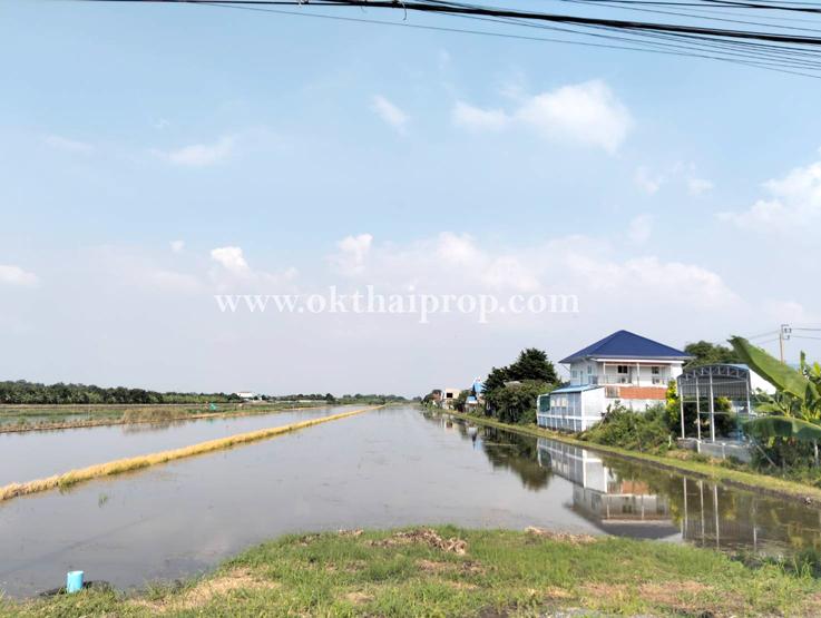 บ้านเดี่ยวสร้างเอง ต.บ้านใหม่ อ.บางใหญ่ จ.นนทบุรี 6