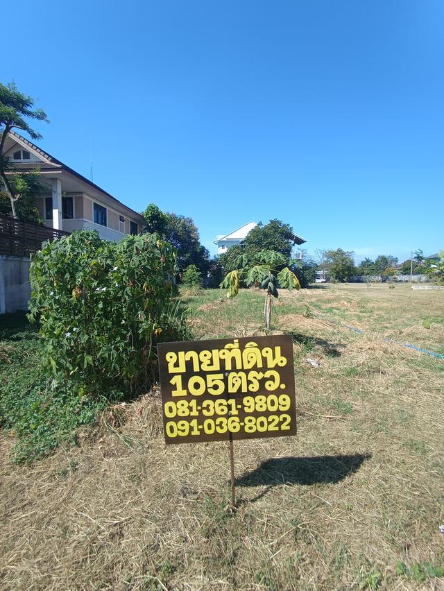ประกาศขาย ที่ดินราคาถูก 105 ตารางวา หมู่บ้านสารินปาร์ค รังสิต ​คลอง5 ธัญบุรี 1