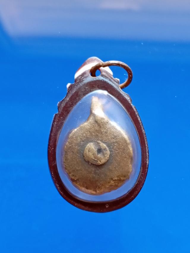 เต่าหลวงพ่อเงิน วัดบางคลาน 2