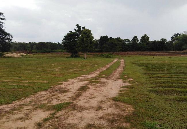 ขายที่ดิน ตลุกกลางทุ่ง เมืองตาก เนื้อที่ 24-2-20 ไร่ ถมแล้ว ราคาถูก 2