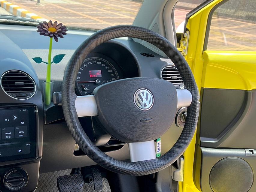 Volksawagen Beetle 1.6 2010 8
