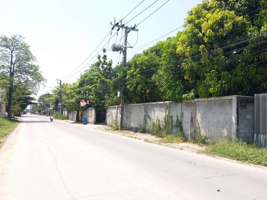 ขายที่ดินพร้อมสิ่งปลูกสร้าง 342 ตรว. ถ. กรุงเทพกรีฑา ซอย 37 แขวงทับช้าง เขตสะพานสูง กรุงเทพๆ 3