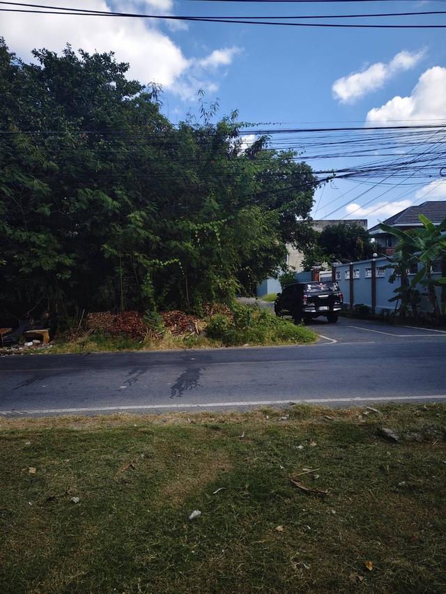 ขานด่วนค่ะ !!! ที่ดิน หมู่บ้านสหพร ใกล้ ม.มหิดล ศาลายา 3