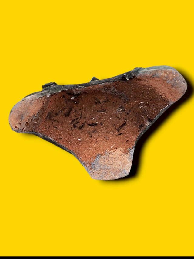 พระกำแพงสามขาหน้าตัก5นิ้ว รูปที่ 3