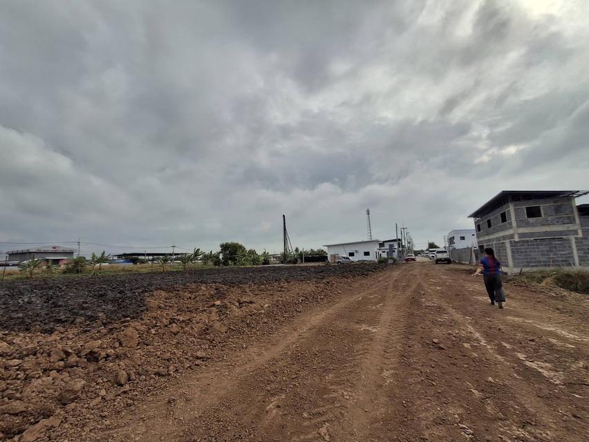 ขายที่ดินโกดังโรงงาน 2