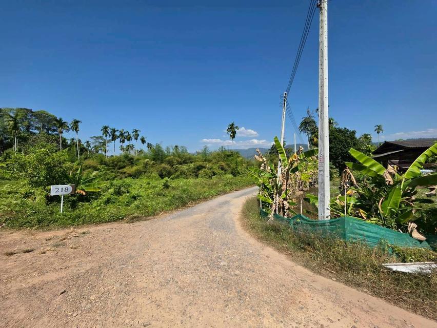 ขายที่ดินเปล่า ใกล้อ่างเก็บน้ําห้วยปรือ เขาพระ นครนายก 4