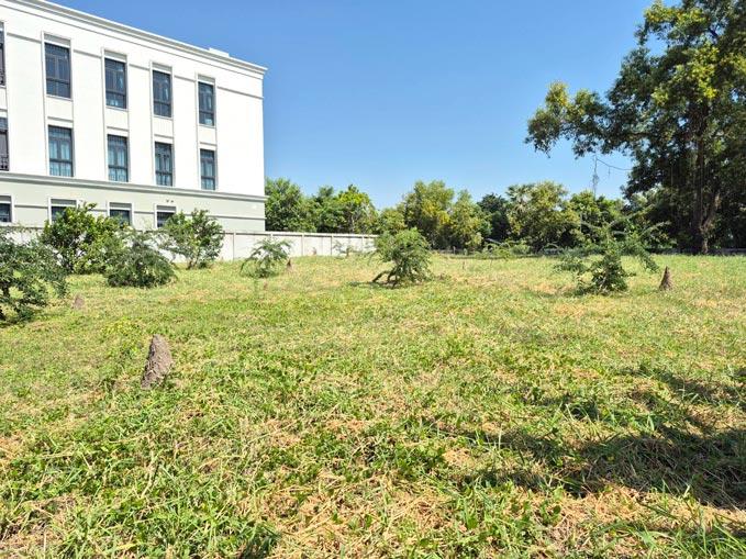 ที่ดิน หมู่บ้าน สวนเอก เลคปาร์ค ลําลูกกา ปทุมธานี 3