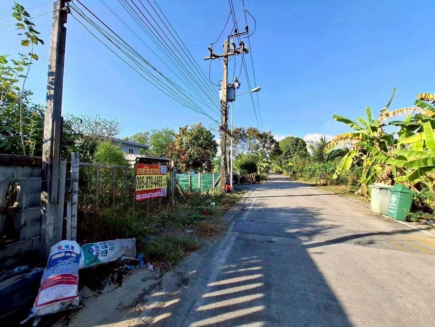 Vายด่วนที่ดินคลองแปด 100 ตารางวา ติดถนนคอนกรีตสาธารณะ ถมแล้ว ซอย คุณสัมฤทธิ์ อ.ธัญบุรี จ.ปทุมธานี 7